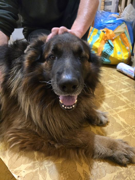 Oddam w dobre rece..