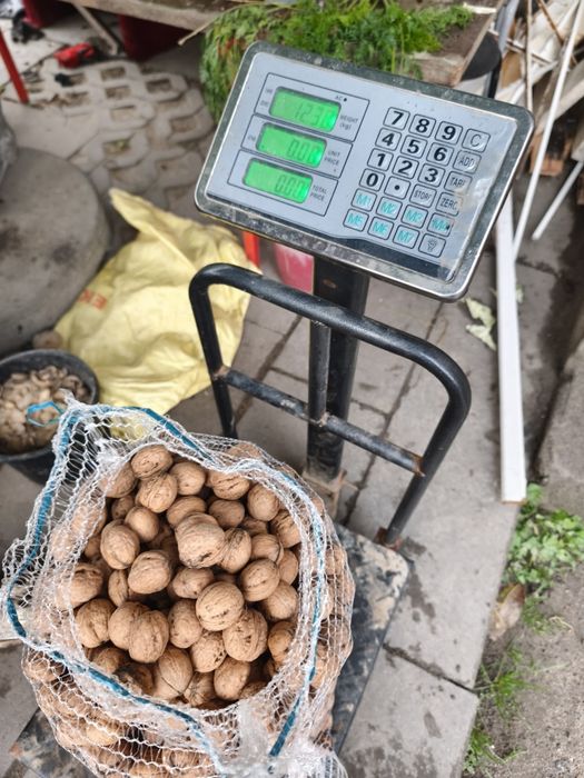 Orzechy włoskie z 2024 roku 12 kg