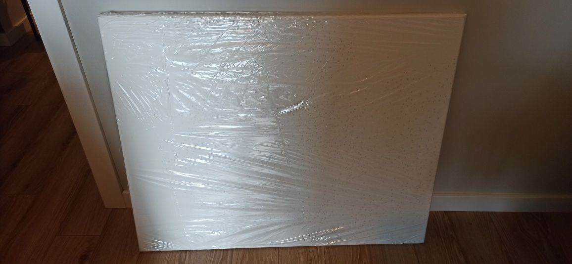 Obraz ZUTY 80x100 - malowanie po numerach KOT
