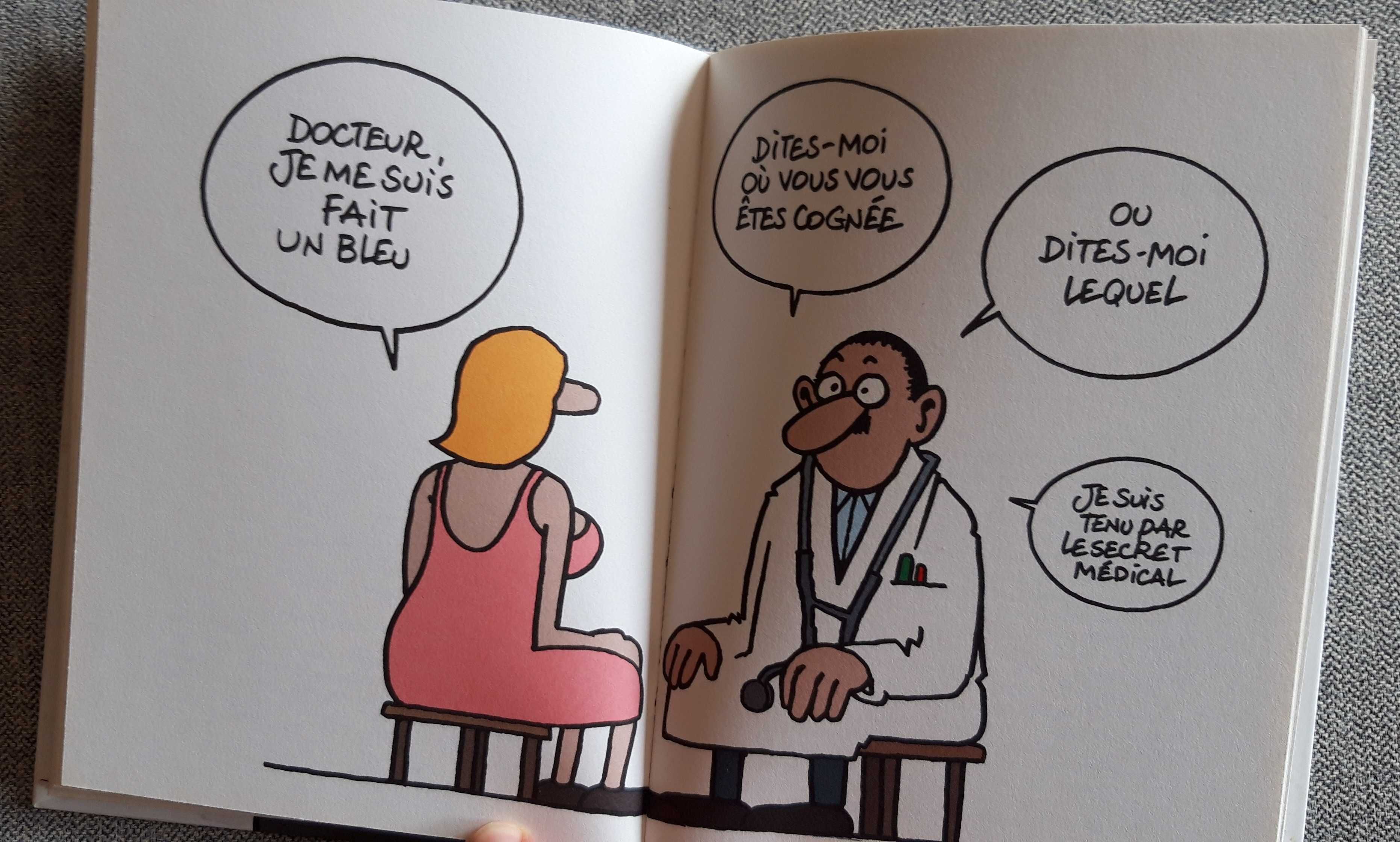 BD "Enfonce le clou" de Geluck