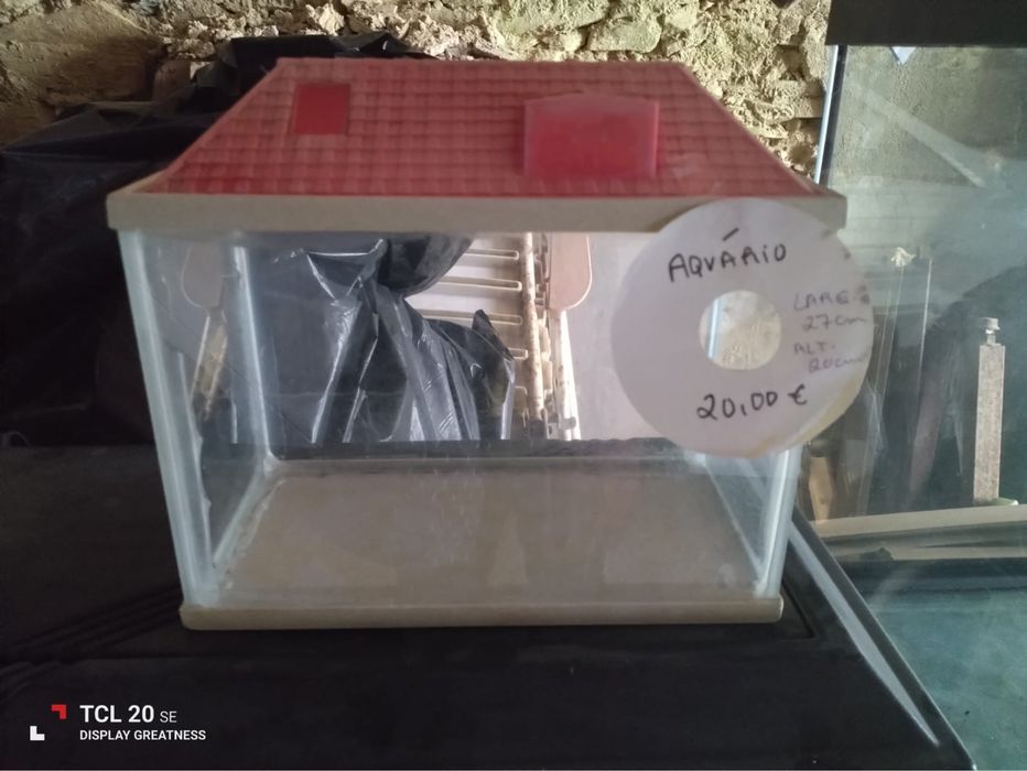 Pequeno aquário para peixes