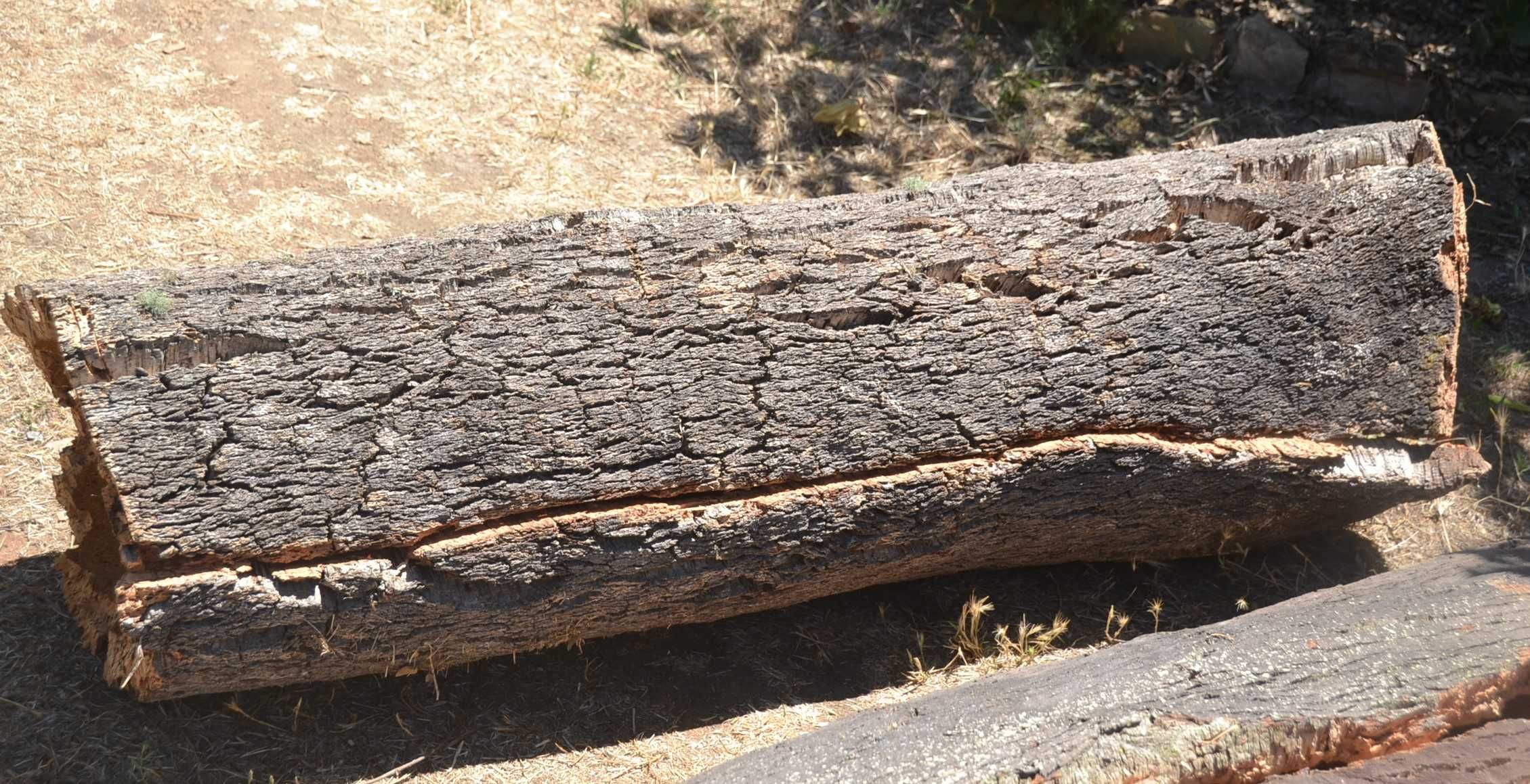 Rolos, tubos, cilindros de cortiça natural