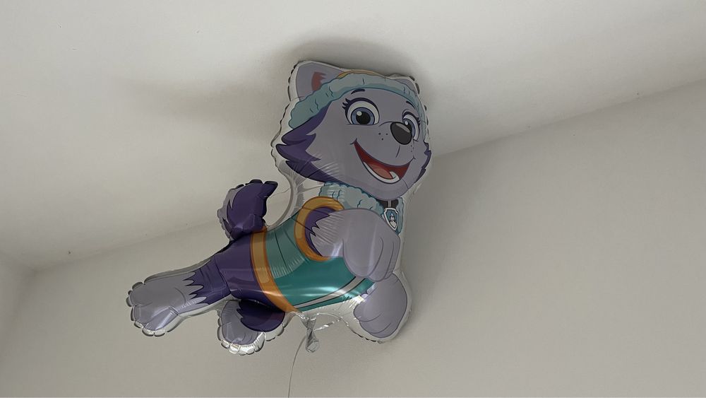 Balon z helem Psi Patrol napompowany gotowy so odbioru Everest