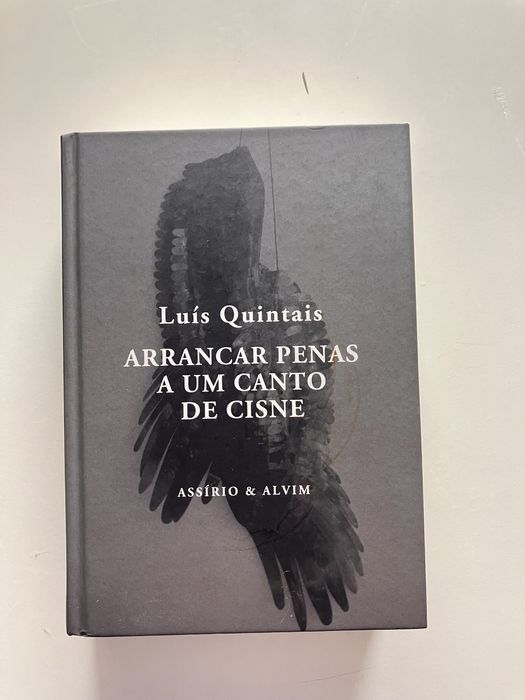 Livro de poesia - Luis Quintais