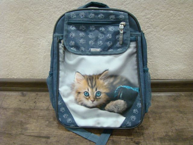 Школьный рюкзак Bagland