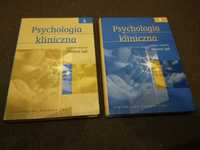 Psychologia kliniczna tom I i II Sęk, inne psychologia, psychoterapia