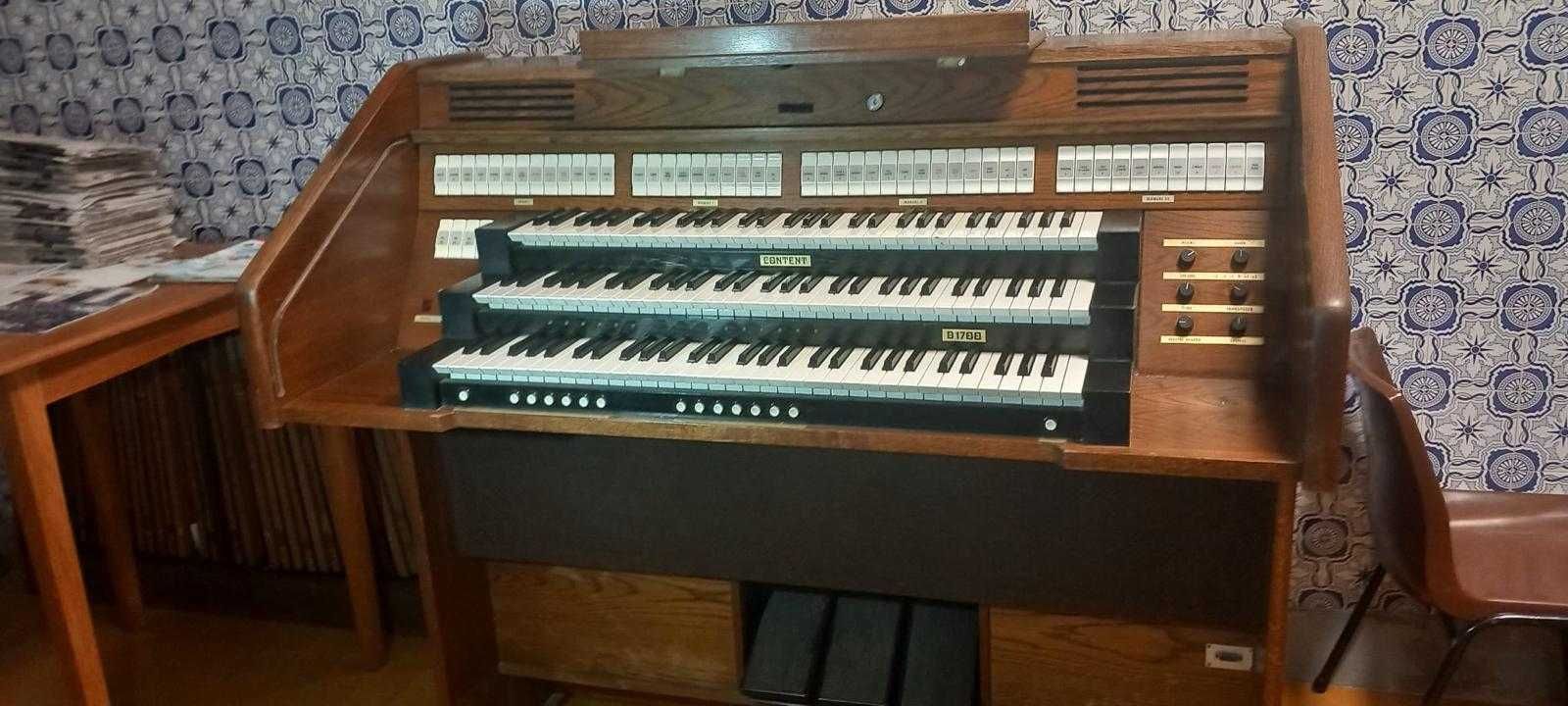 Orgão Musical - CONTENT