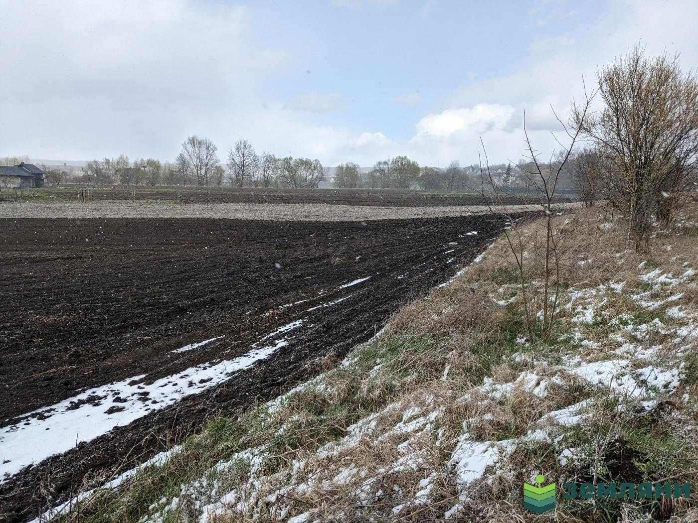 Продаж землі 32,87 сотки в с.Клубівці під забудову