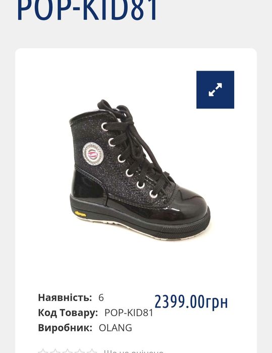 Черевики зимові 26 розмір 16 см устілка