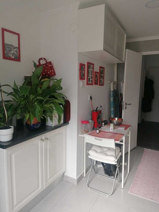 Alugo T2 remodelado  em excelente localizaçao