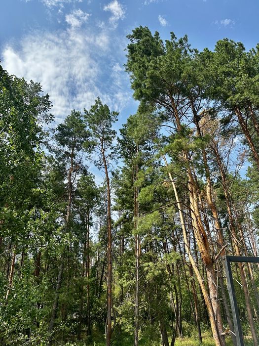 Терміновий продаж! Ціну знижено! Дуплекс 104 м2