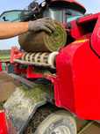 Trawnik z rolki ogrodowo sportowy/ trawa w rolce/ trawa/ plantacja