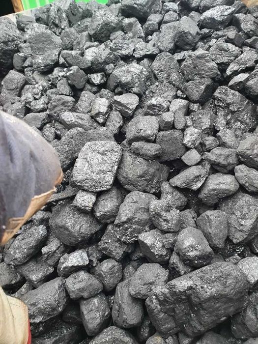 Ekogroszek orzech miał ekomiał