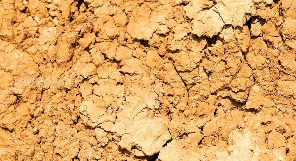 Глина для будівництва