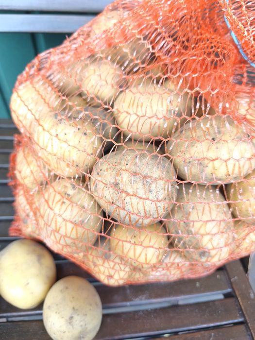 Ziemniaki eko 20kg wysyłka żółte