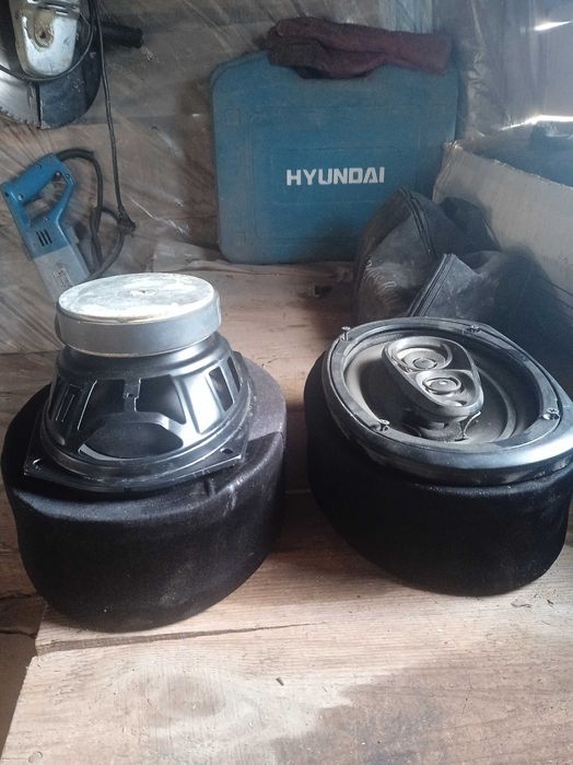 Динаміки,Альпайни