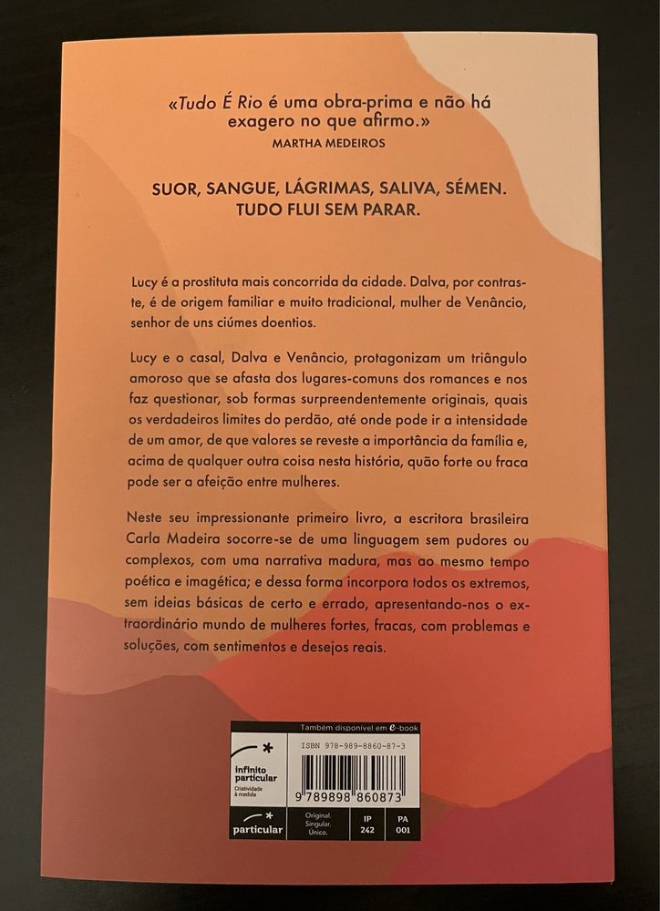 Livro Tudo é rio