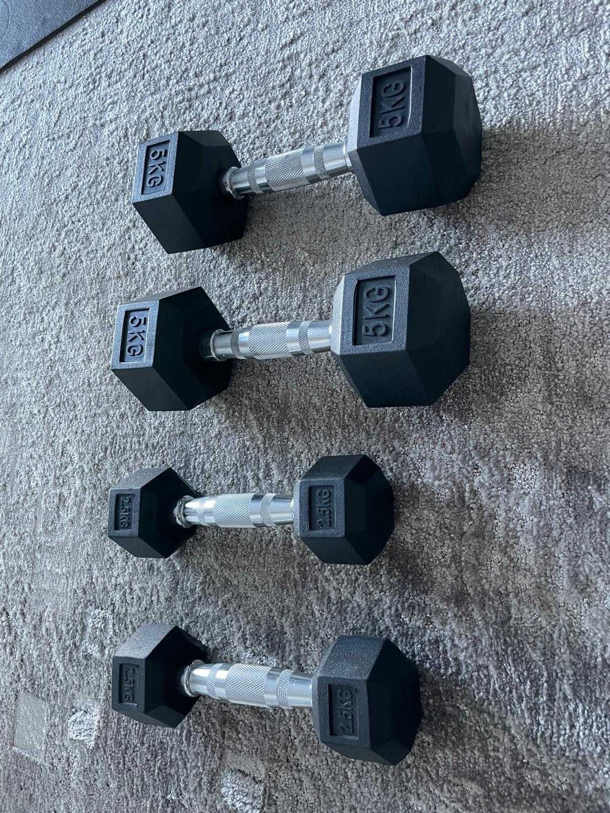 Halteres Hexagonais 5kg e 2.5kg
