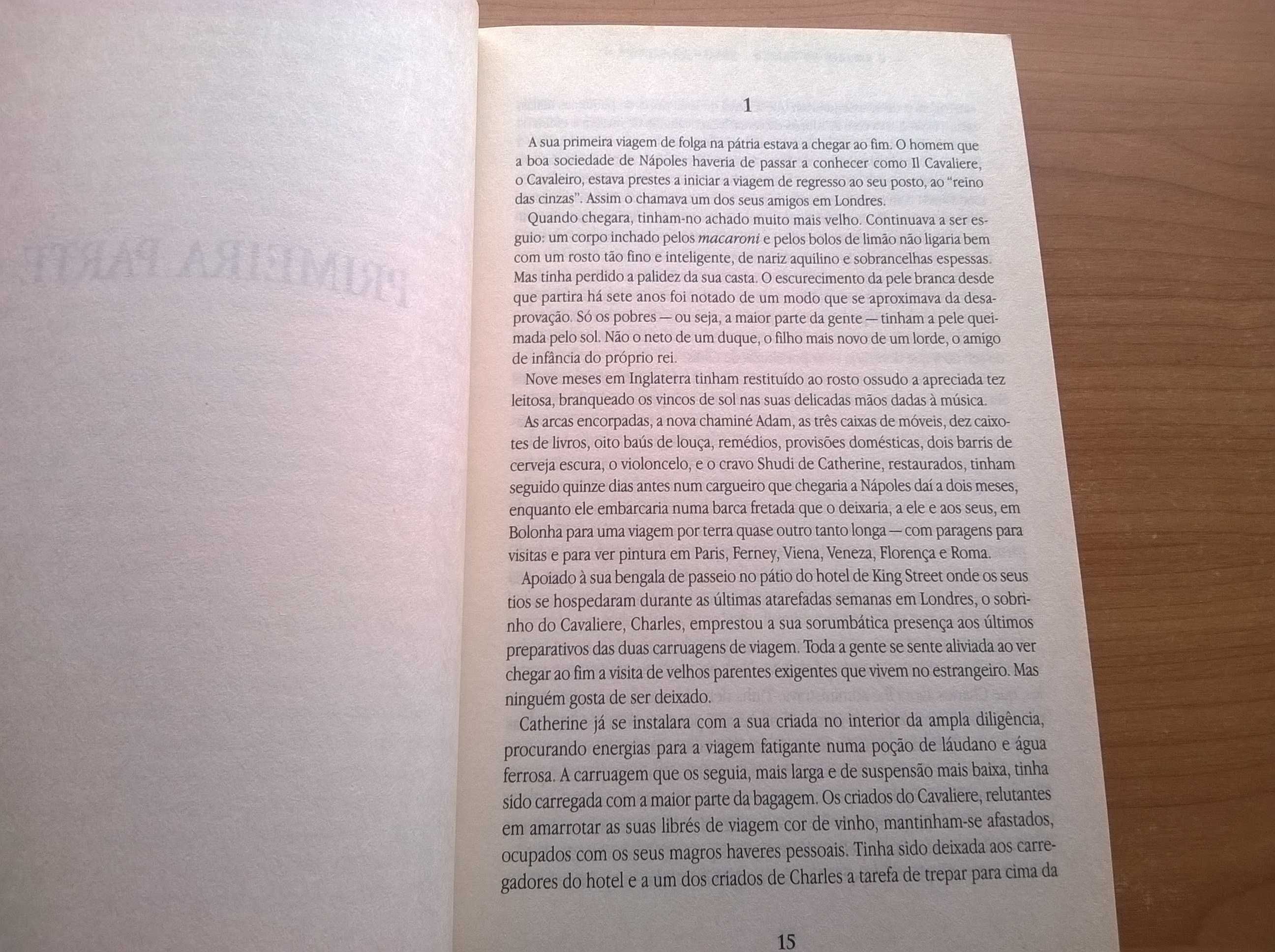 O Amante do Vulcão - Susan Sontag