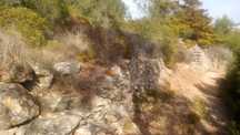 Terreno com 1850m2 Na Estrada do Vale Cancela Ericeira