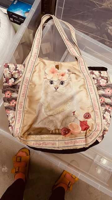 Saco com gato para praia, compras