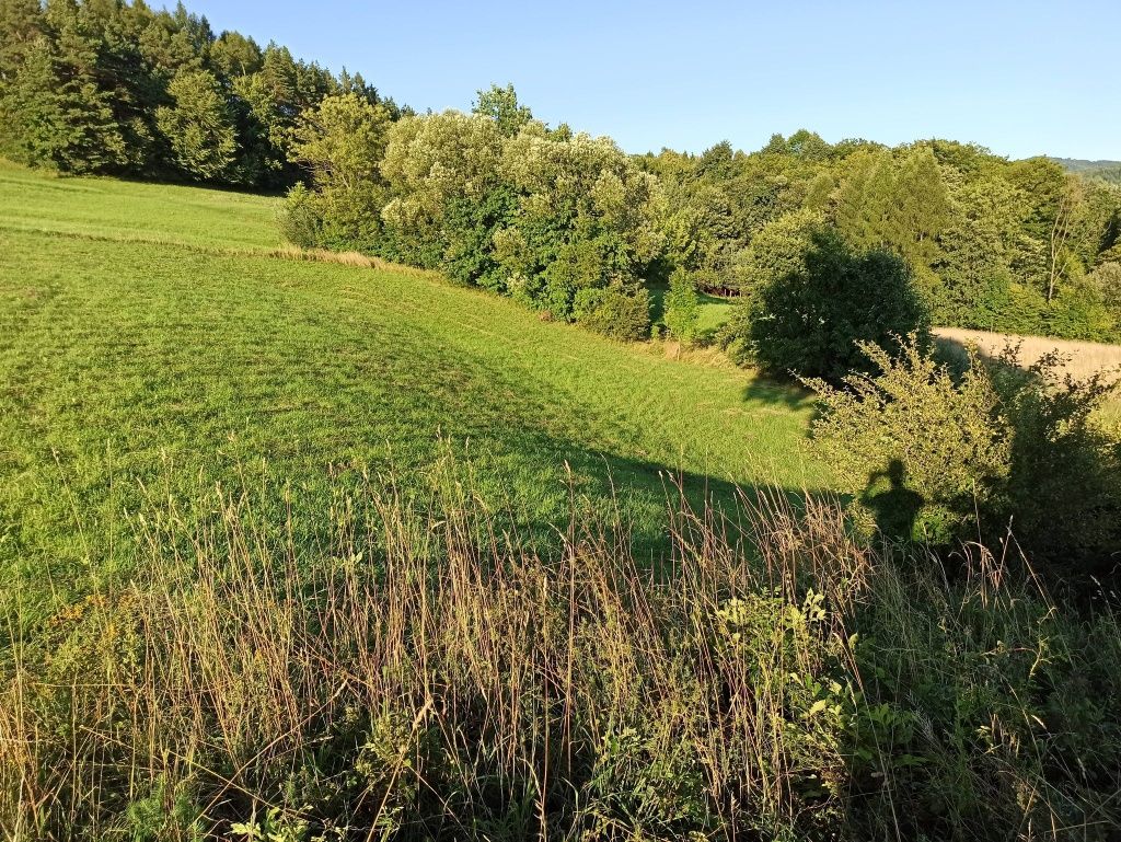 Działka widokowa położona w cichym miejscu (54a)