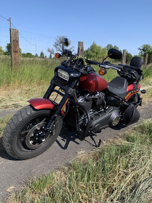 Harley Davidson FAT BOB