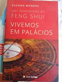 Uma introdução ao feng shui - Vivemos em palácios