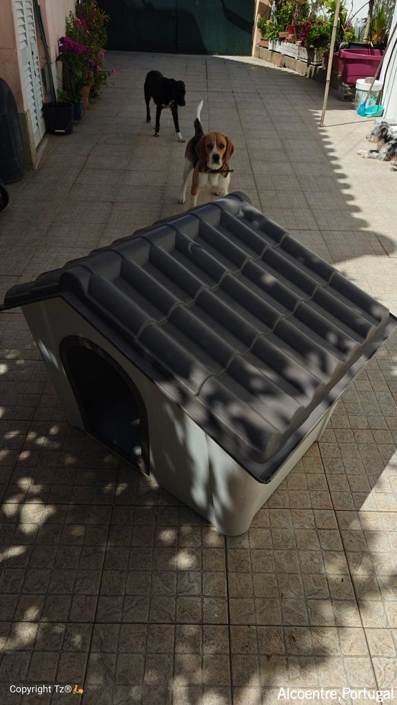 Casota Para cão de porte médio