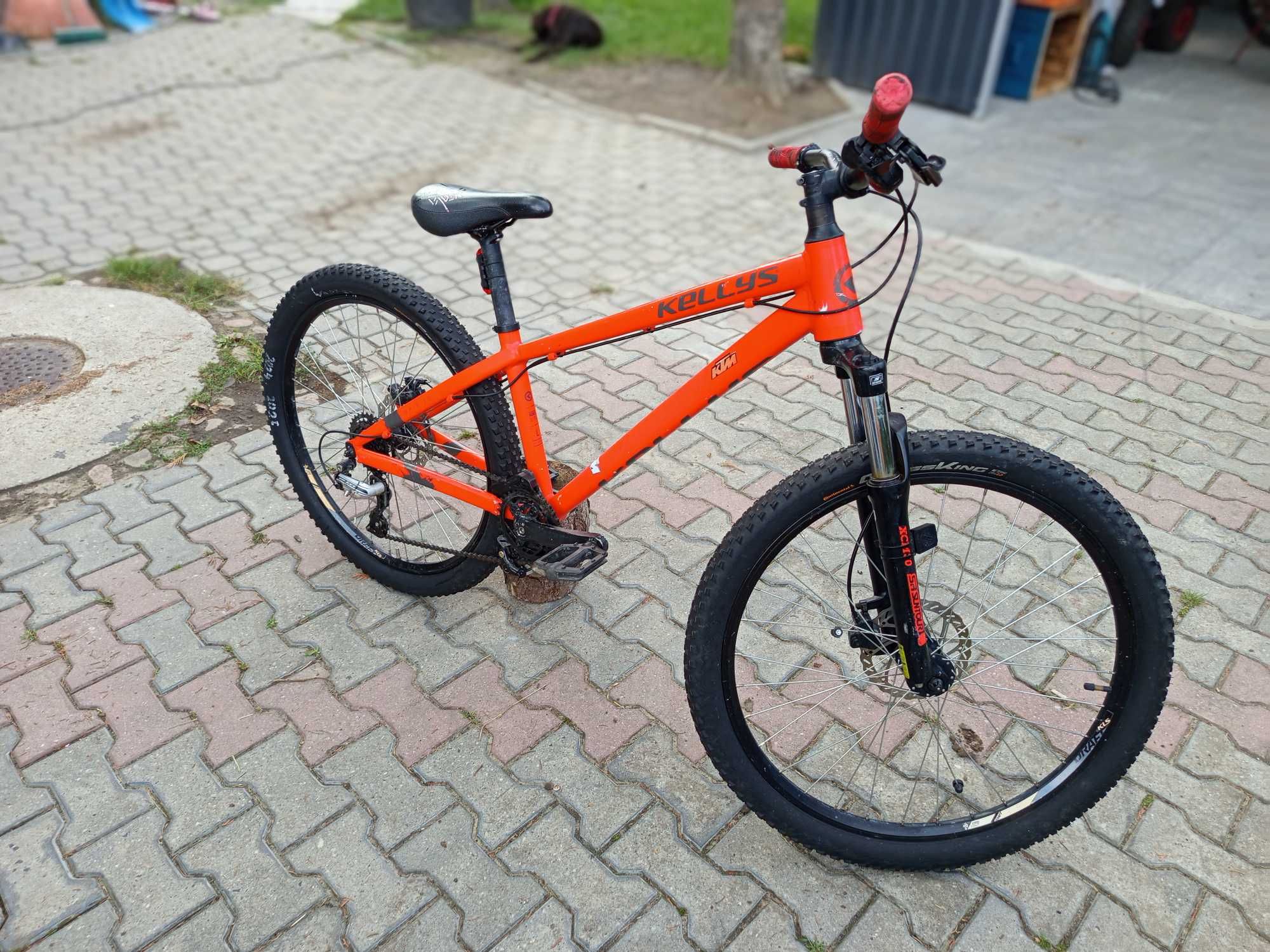 kellys whip 10 .