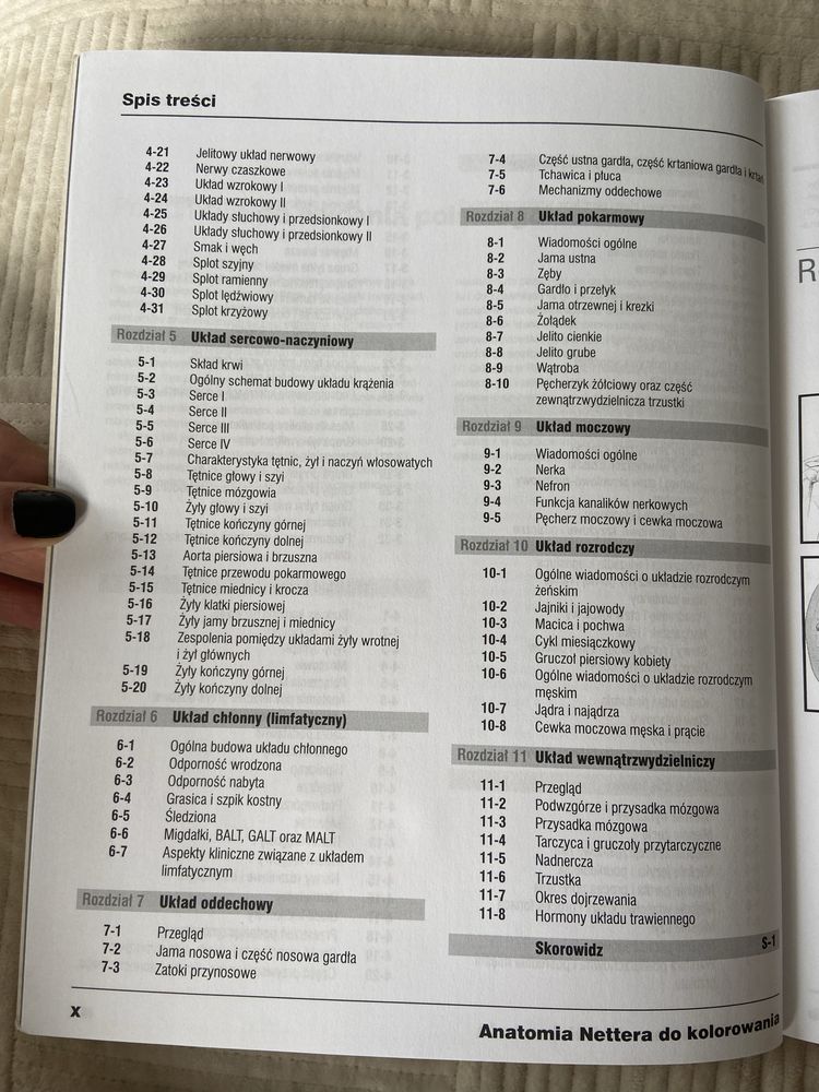 Anatomia Nettera do kolorowania John T.Hansen
