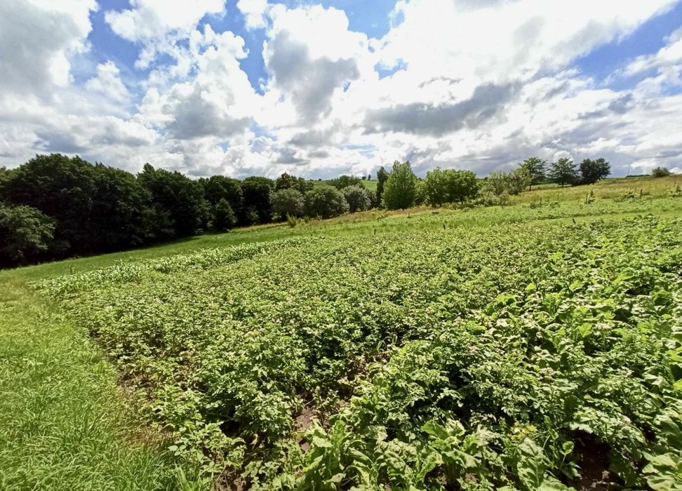 Продаж будинку! Можна жити або ідеальний варіант під дачу !