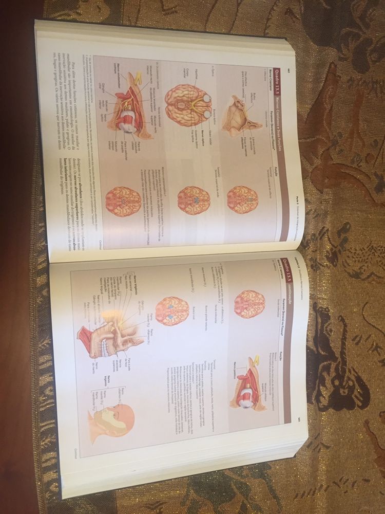 Livro de Anatomia e fisiologia + Guia de estudo