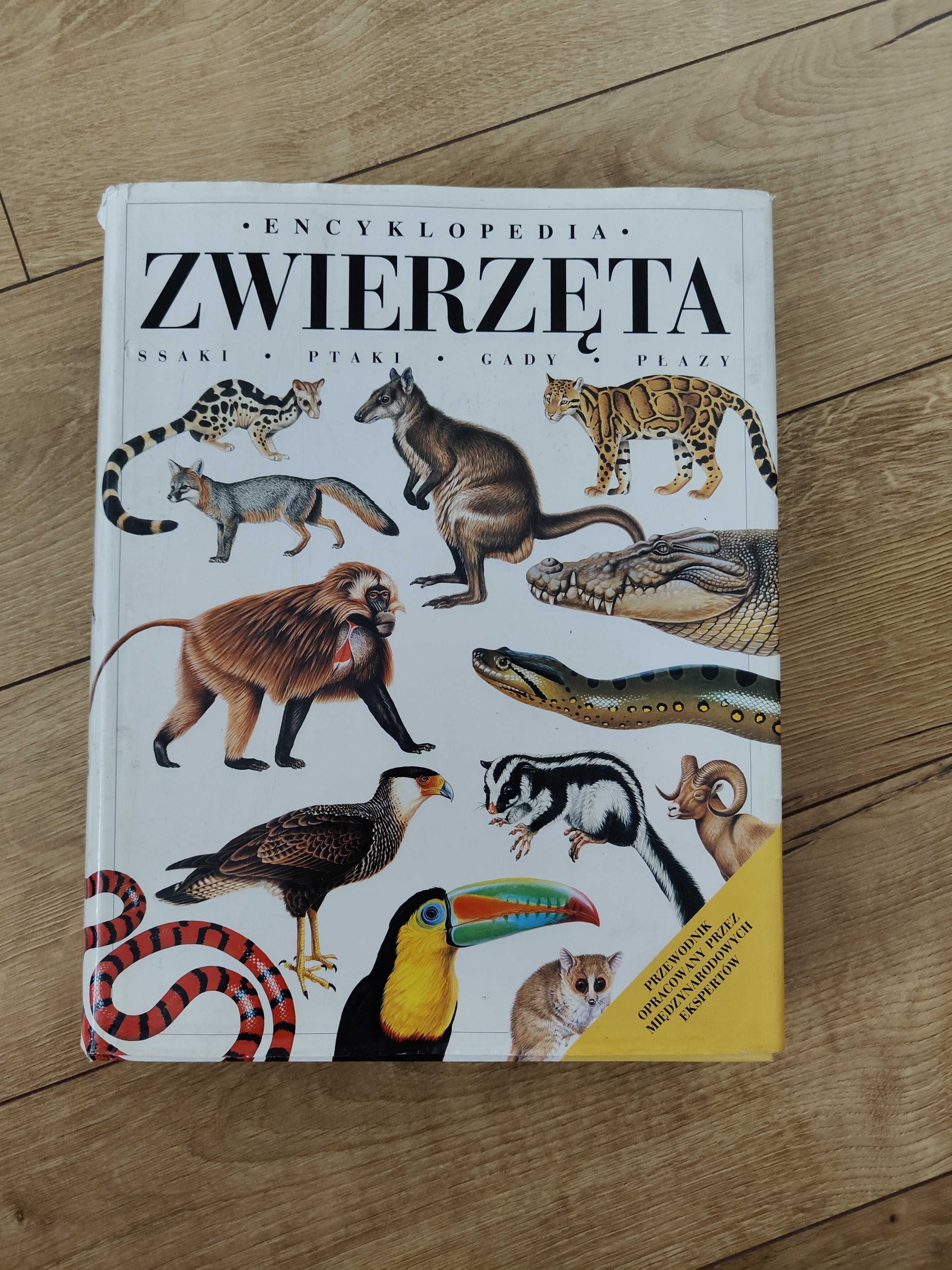 Encyklopedia - Zwierzęta - Ssaki, Ptaki, Gady, Płazy