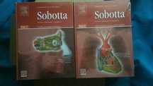 Sobotta атлас анатомии человека (2 тома)