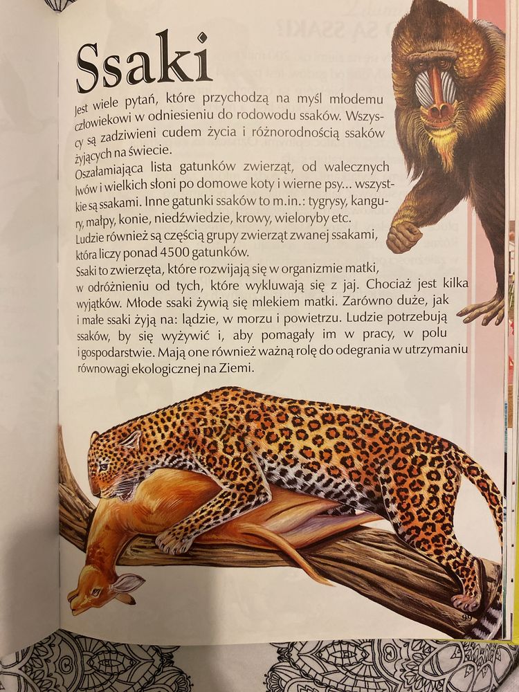 Encyklopedia Poznaję świat