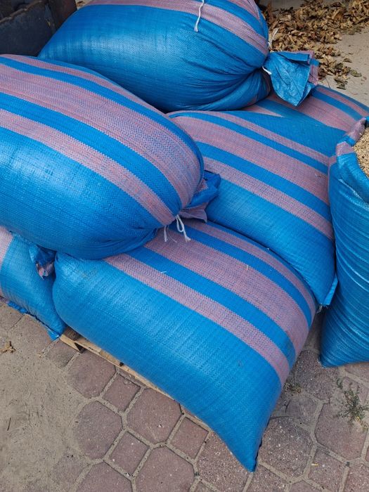 Żyto paszowe mam do zaoferowania ok 600 kg