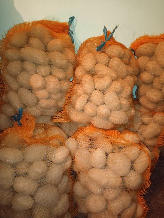 Na sprzedaż ziemniaki.