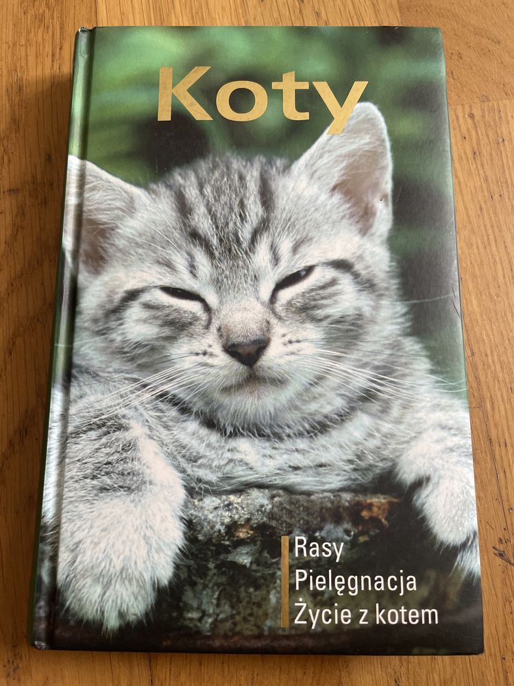 Książka Poradnik Koty