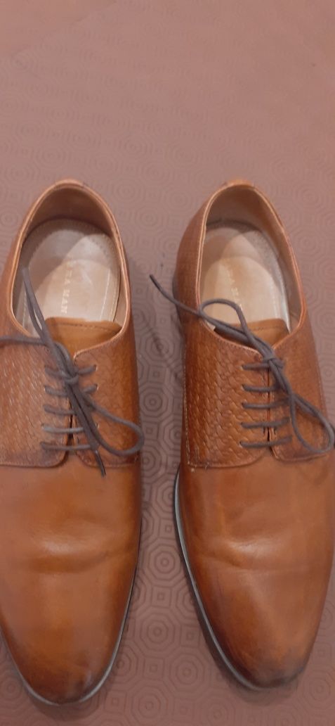 Sapatos castanhos de homem