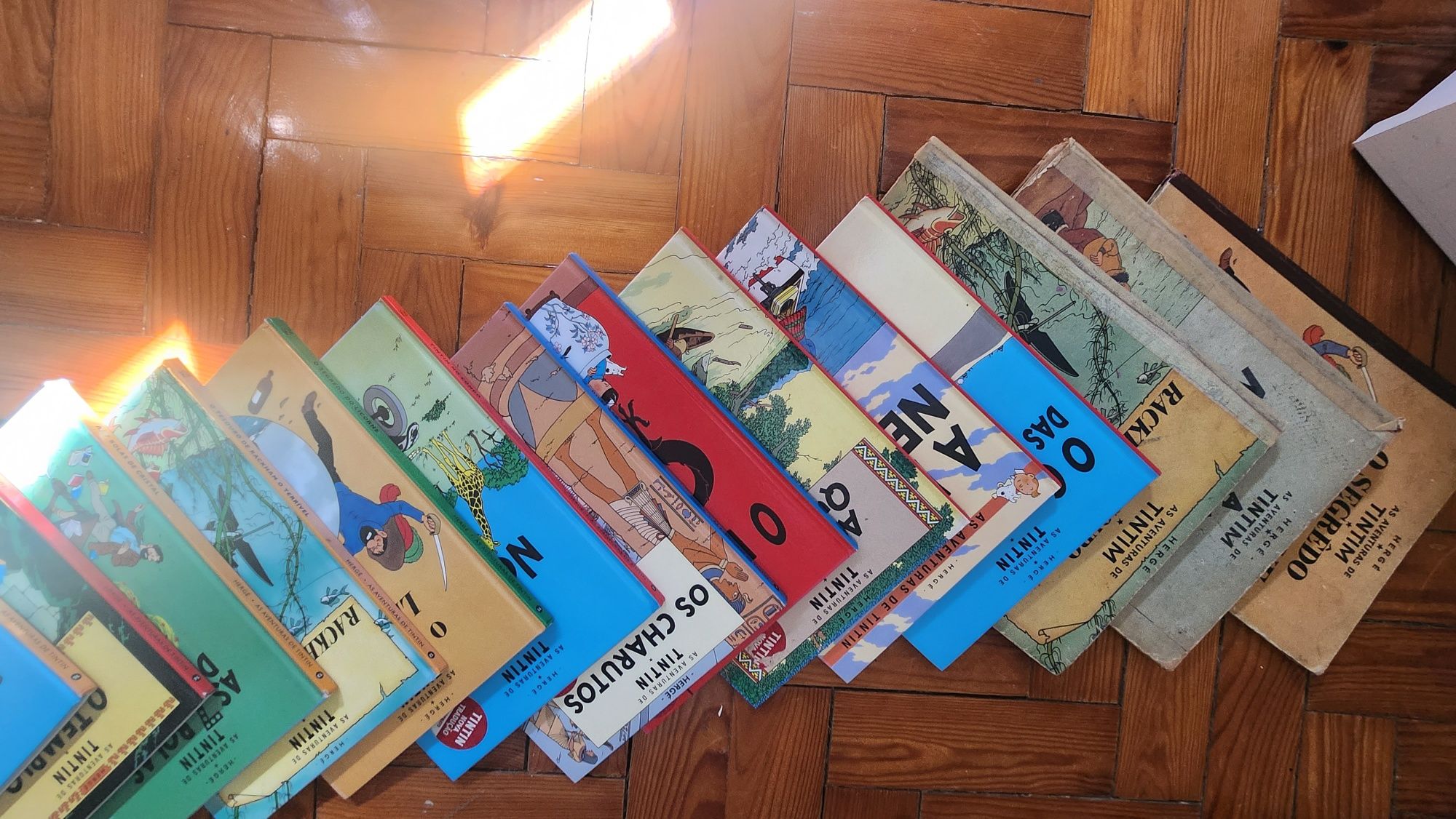 Livros Tintin PT e FR