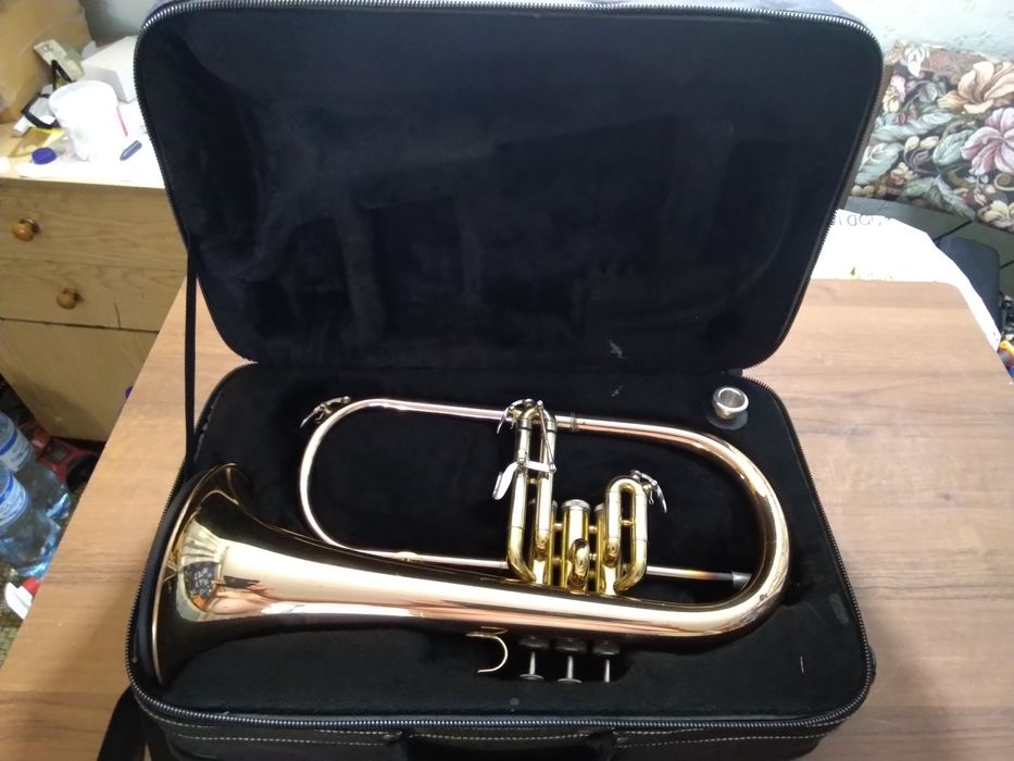 Флюгельгорн Roy Benson