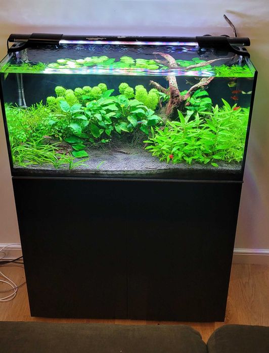 Akwarium - zestaw szkło, lampa, szafka (bez filtra)