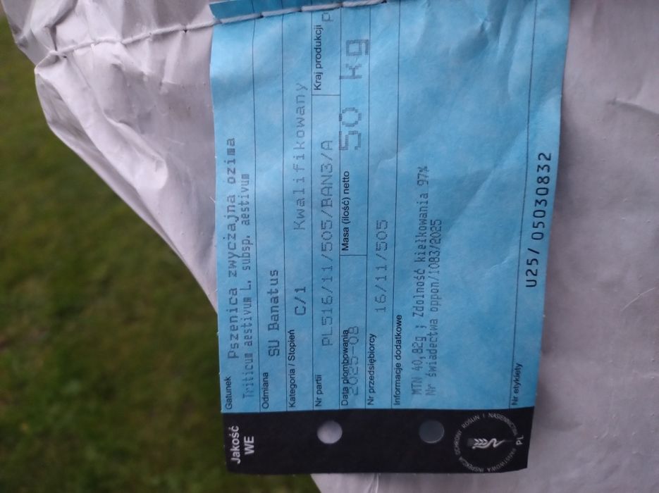 Pszenżyto Banatus, kfalifikat 50kg