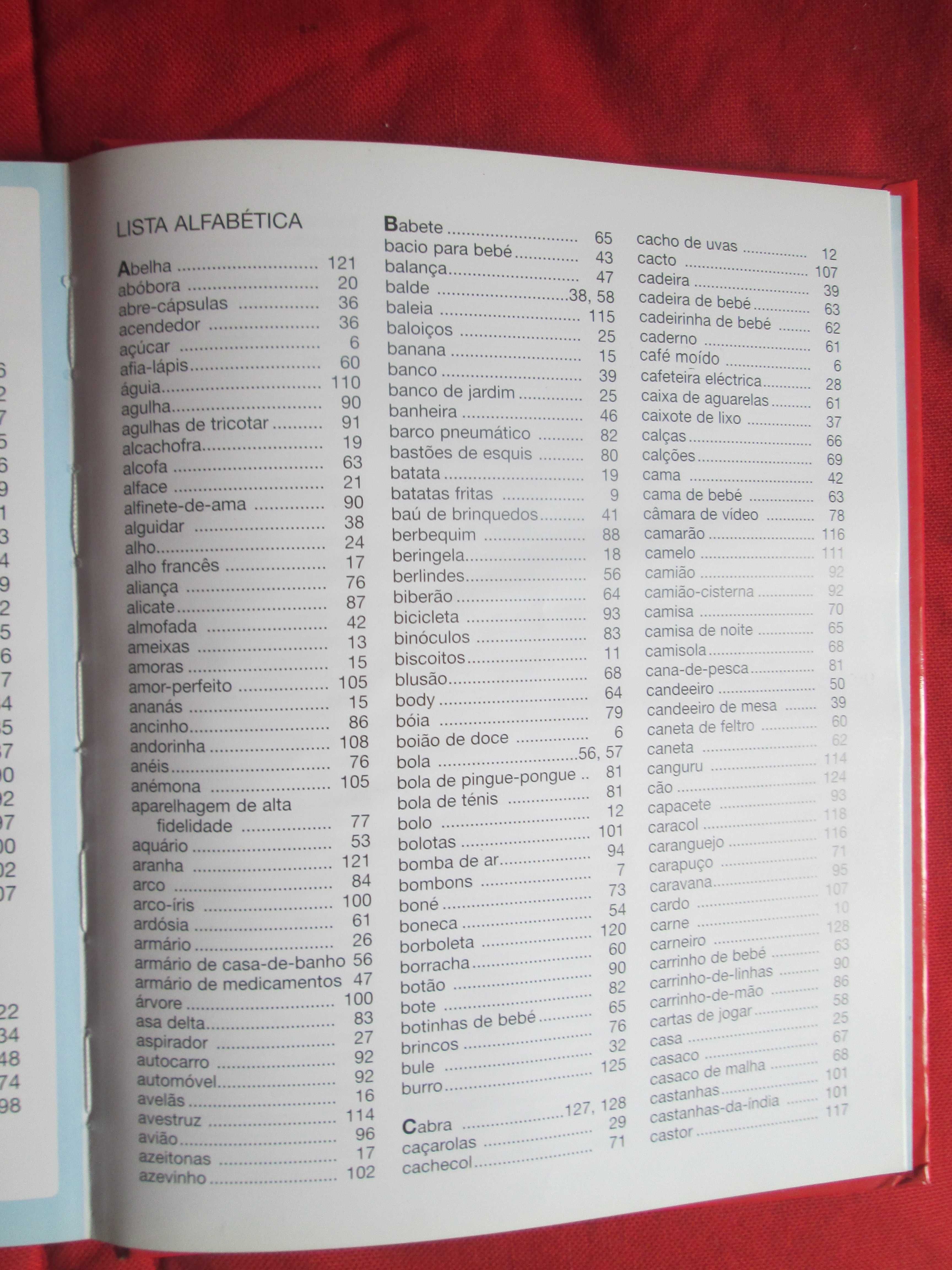Dicionário por Imagens Português-Inglês
