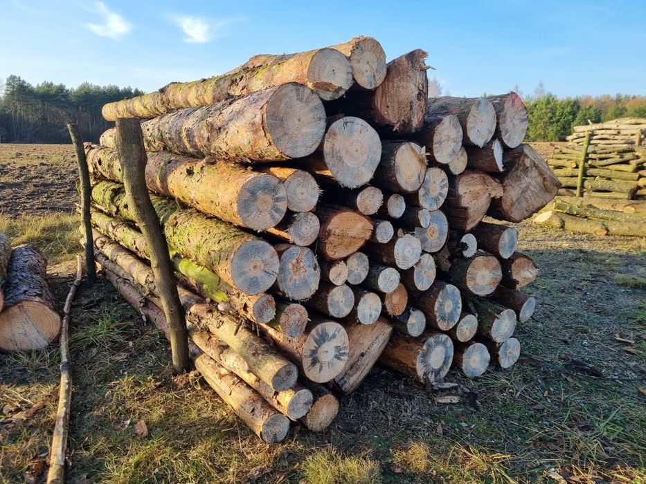 Drewno kominkowe opałowe sosna wałki, kanki HIT!!!