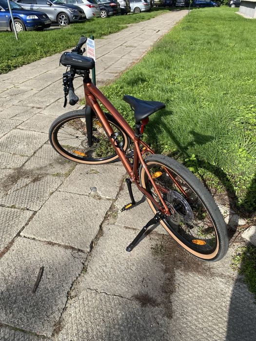 Rower Crossowy TREK Dual Sport 3 Gen 5 Pennyflake rozmiar L