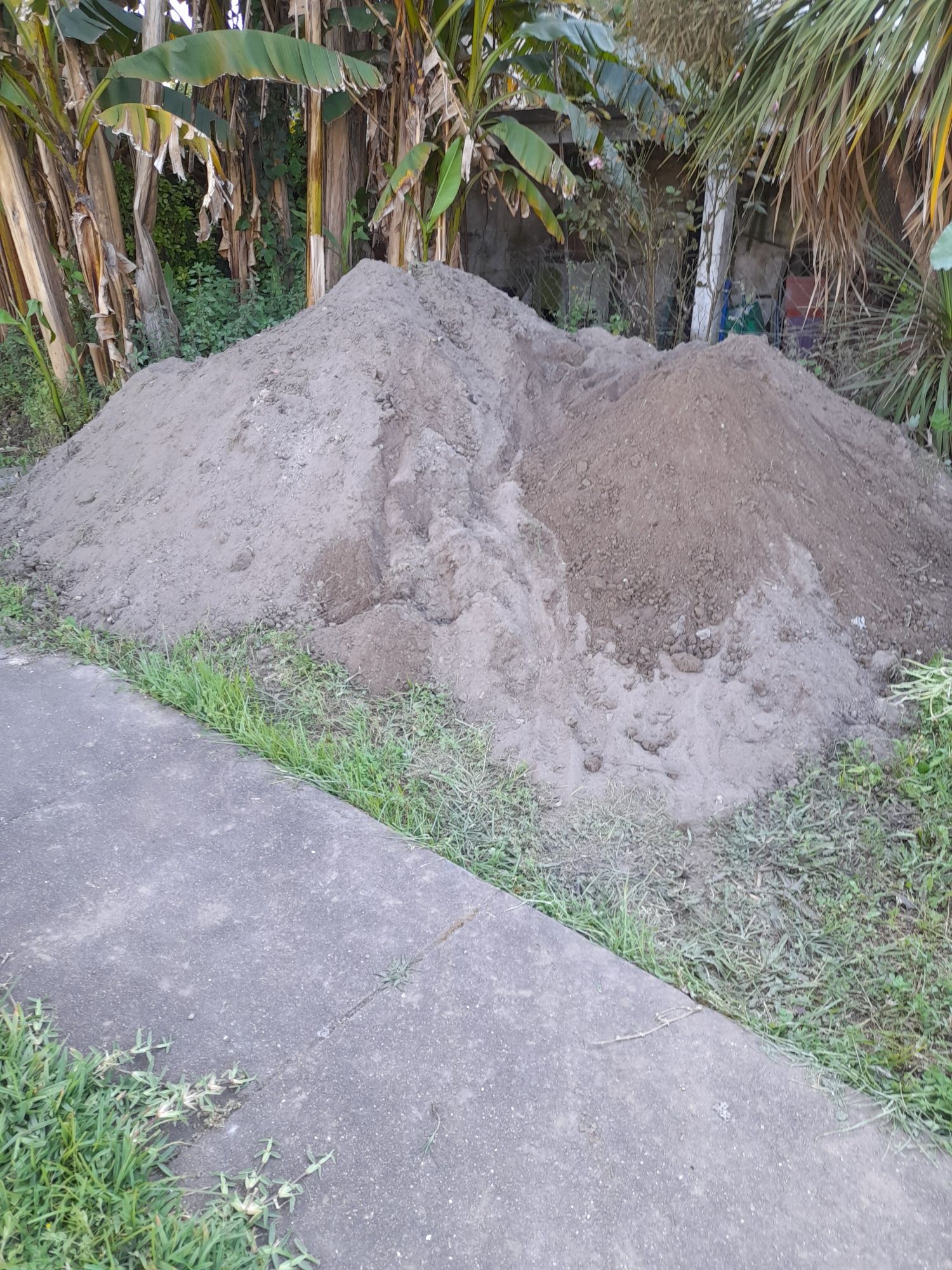 Dou terra boa para cultivo