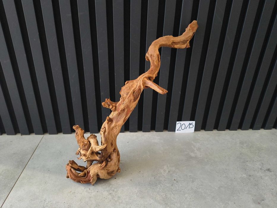 korzeń Bell Wood masywny 2015 do akwarium terrarium 54x16x11 NOWOŚĆ
