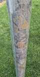 2 rolki tapety Cristiana Masi 24 carate - 7479 A 1,06 m szerokie